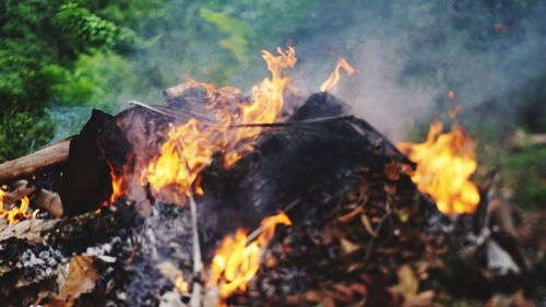 Close-up of bonfire