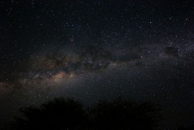 Low angle view of star field against sky at night