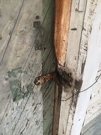 Close-up of wooden door