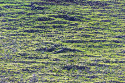 Full frame shot of water on landscape