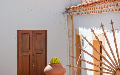 Low section of bare trees in artificial home