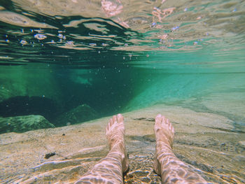 Low section of man swimming in sea