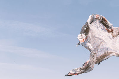 Low angle view of cloth against sky