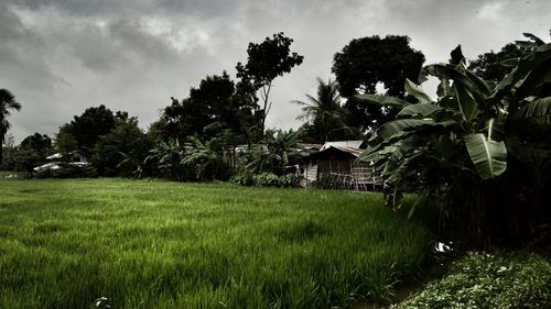 View of house on field