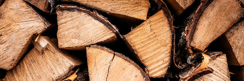 Full frame shot of logs in forest