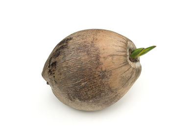 High angle view of banana against white background