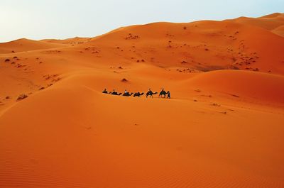 Scenic view of desert