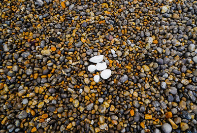 Pebbles on a beach