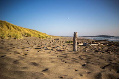 Scenic view of beach against clear blue sky