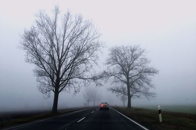 Car on country road amidst bare trees in foggy weather