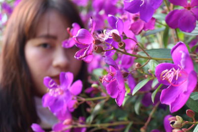 Close-up of purple flowering plants