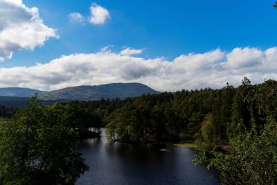 Scenic view of tarn hows amidst trees against sky