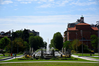 Trees in lawn with building in background