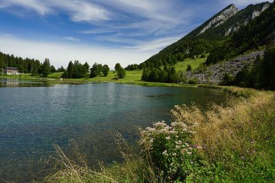 Scenic view of lake by trees against sky