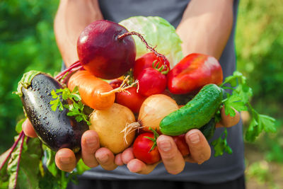 Close-up of tomatoes