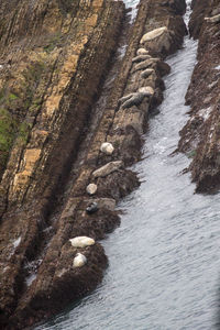 River amidst rocks