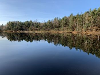 Reflection of trees in lake against sky