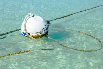 High angle view of rope floating on swimming pool