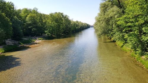 Scenic view of river amidst trees in forest against sky