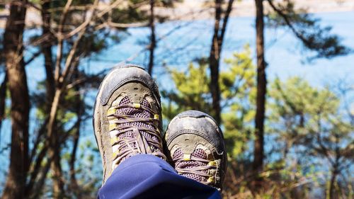 Low section of person wearing canvas shoes