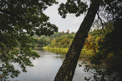 Scenic view of lake in forest against sky