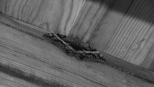 Close-up of old wall