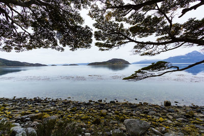 Scenic view of lake against sky