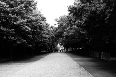 Footpath amidst trees against sky