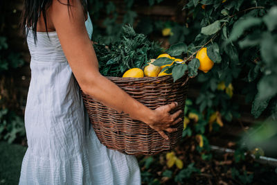 Midsection of woman holding ice cream in basket