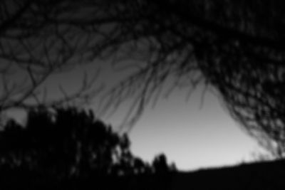 Low angle view of silhouette trees against sky at night