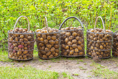 Close-up of firewood