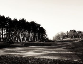 Road amidst trees on field against clear sky