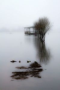 Scenic view of lake during foggy weather