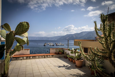 Potted plants by sea against sky