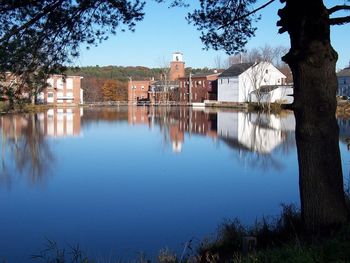 Reflection of trees in water