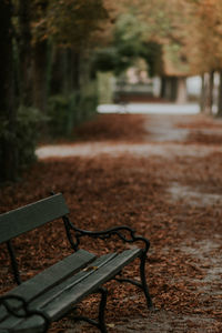 Old wooden bench in alley covered with brown fallen leaves on cloudy day in park