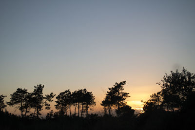 Silhouette trees against clear sky during sunset