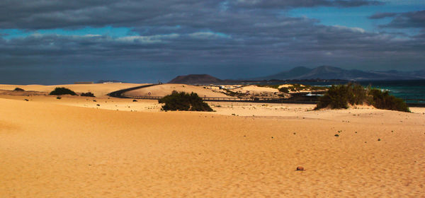 Scenic view of desert against sky