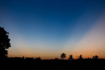 Silhouette trees against clear sky during sunset