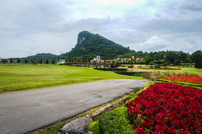 Scenic view of grassy landscape against sky