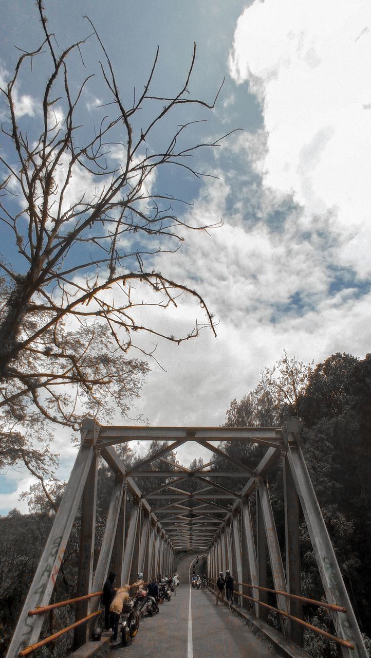 LOW ANGLE VIEW OF BRIDGE OVER BARE TREES