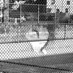 Close-up of heart shape on chainlink fence