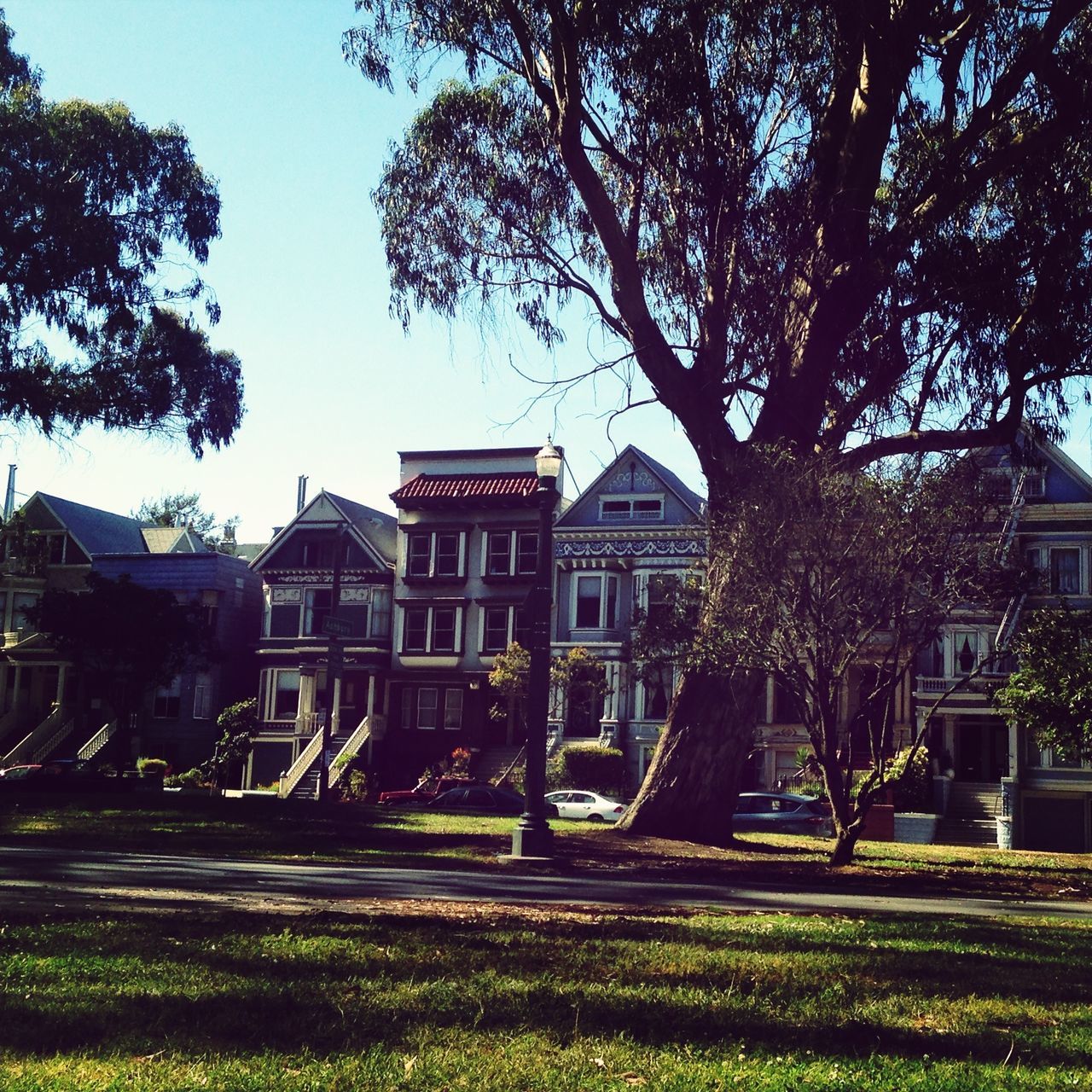 In The Park