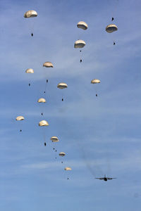 Low angle view of birds flying against sky