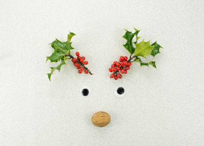 Directly above shot of fruit salad on white background