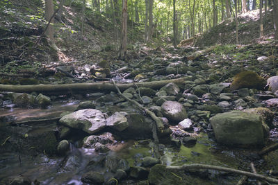 Stream flowing through rocks in forest