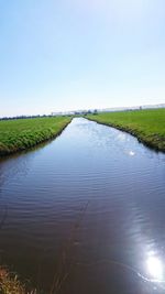 Scenic view of agricultural landscape against clear sky