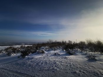 Snow covered land and trees against sky