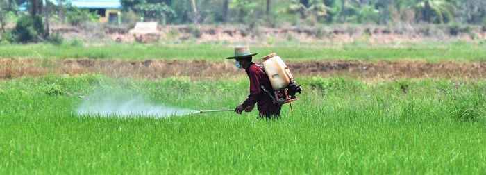 Man spraying on field