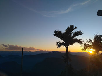 Silhouette palm trees against sky during sunset